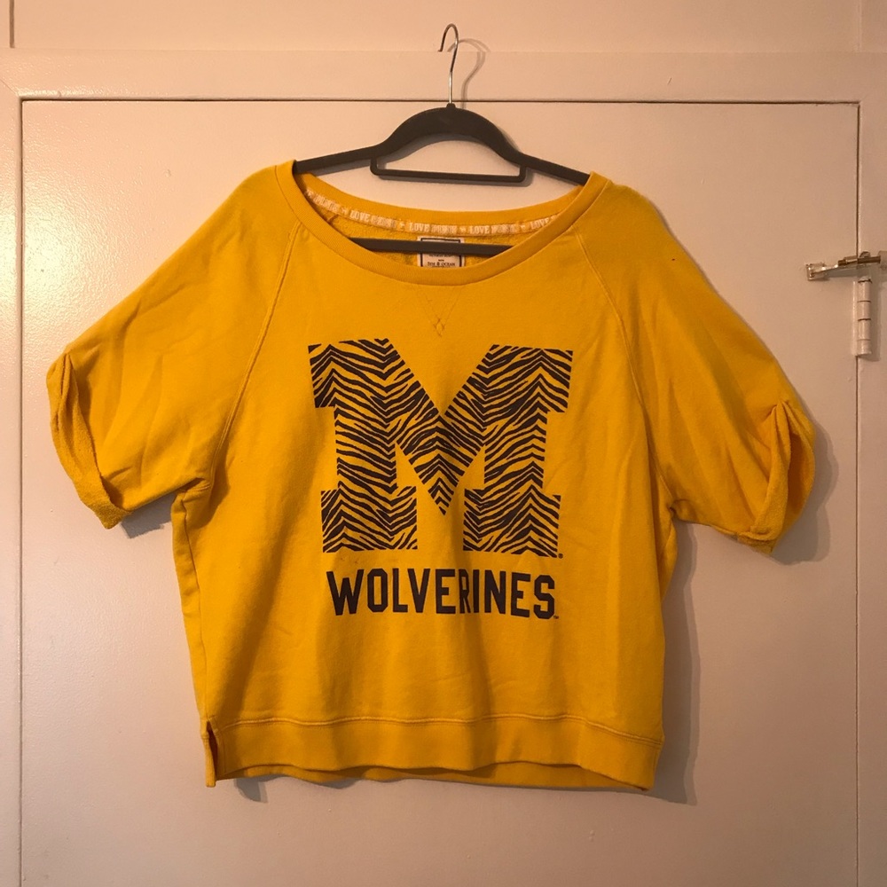 Umich tailgate top